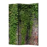 Kamerscherm Brick and Ivy vlies op massief hout  - groen - 3-delige set