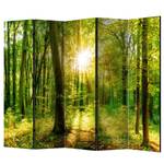 Kamerscherm Forest Rays vlies op massief hout  - groen - 5-delige set