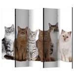 Kamerscherm Sweet Cats vlies op massief hout  - meerdere kleuren - 5-delige set