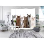 Kamerscherm Sweet Cats vlies op massief hout  - meerdere kleuren - 5-delige set