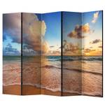 Paravento Morning by the Sea Tessuto non tessuto su legno massello  - Multicolore - 5 pezzi