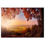 Papier peint intissé Autumn Delight Intissé - Multicolore - 100 x 70 cm