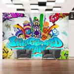 Papier peint intissé Skateboard Team Intissé - Multicolore - 400 x 280 cm