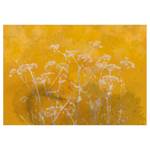 Fototapete Meadow Bathed in the Sun Vlies - Gelb - 300 x 210 cm