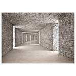 Vlies-fotobehang Mysterious Tunnel vlies - grijs - 100 x 70 cm
