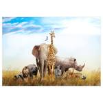 Fotomurale Fauna of Africa Tessuto non tessuto - Multicolore - 250 x 175 cm