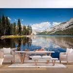 Vlies Fototapete Tenaya Lake Vlies - Mehrfarbig - 300 x 210 cm