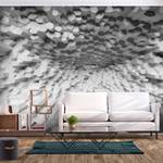 Fotomurale Relaxation Depth Tessuto non tessuto - Nero / Bianco - 400 x 280 cm