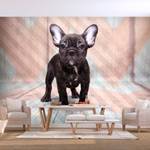 Papier peint intissé French Bulldog Intissé - Multicolore - 150 x 105 cm