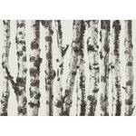 Papier peint intissé Stately Birches Intissé - Gris - 100 x 70 cm