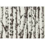 Vlies-fotobehang Stately Birches vlies - grijs - 200 x 140 cm