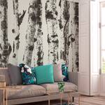 Vlies Fototapete Stately Birches Vlies - Grau - 250 x 175 cm