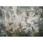 Papier peint intissé Rain Forest in Fog Intissé - Gris / Vert - 300 x 210 cm