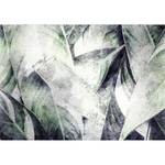Vlies Fototapete Green Grove Vlies - Mehrfarbig - 200 x 140 cm