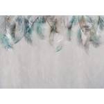 Vlies-fotobehang Colourful Feathers vlies - grijs/groen - 150 x 105 cm