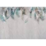 Vlies-fotobehang Colourful Feathers vlies - grijs/groen - 450 x 315 cm