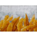 Papier peint intissé Banana Leaves Intissé - Gris / Orange - 200 x 140 cm
