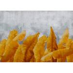 Vlies Fototapete Banana Leaves Vlies - Grau / Orange - 150 x 105 cm