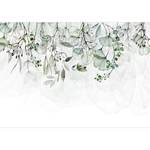 Vlies-fotobehang Foggy Nature vlies - Groen - 150 x 105 cm