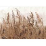 Vlies Fototapete Tall Grasses Vlies - Braun / Grau - 300 x 210 cm