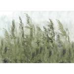 Papier peint intissé Tall Grasses Intissé - Vert foncé / Gris - 450 x 315 cm