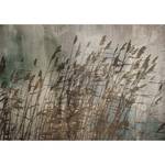 Papier peint intissé Water Grasses Intissé - Gris / Marron - 450 x 315 cm