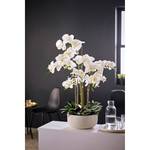 Kunstpflanze Orchideentopf Royal Polyethylen / Keramik - Weiß / Grün