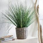 Kunstpflanze im Korb Zwiebelgras Polyester PVC / Weide - Grün / Grau