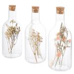 Deko-Flaschen Wiesengräser (3er-Set) Gras/ Kork - Natur / Transparent