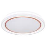 LED-plafondlamp Tebby acrylglas/ijzer - 1 lichtbron