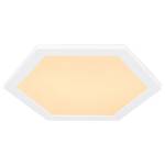 LED-plafondlamp Leanara III acrylglas/ijzer - 1 lichtbron