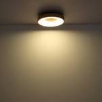 Lampada a LED da soffitto Jolli I Vetro acrilico / Ferro - 1 punto luce - Marrone