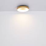 Lampada a LED da soffitto Jolli I Vetro acrilico / Ferro - 1 punto luce - Marrone
