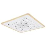 LED-Deckenleuchte Murphy II Acrylglas / Eisen - 1-flammig - Breite: 50 cm