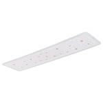 LED-plafondlamp Murphy III acrylglas/ijzer - 1 lichtbron - Breedte: 120 cm