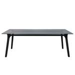 Table Hülsta now T23 Verre teinté / Hêtre massif - Noir - Largeur : 220 cm