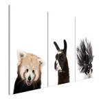 Afbeelding Friendly Animals Collection verwerkt hout & linnen - meerdere kleuren