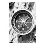 Tableau déco Black and White Compass Bois manufacturé et toile - Noir / Blanc