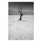 Afbeelding Tree in the Desert verwerkt hout & linnen - zwart-wit