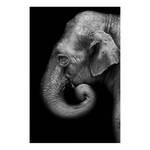 Wandbild Portrait of Elephant Holzwerkstoff & Leinen - Schwarz-Weiß