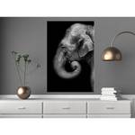Quadro Portrait of Elephant Materiali a base di legno e lino - Nero-Bianco