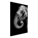 Wandbild Portrait of Elephant Holzwerkstoff & Leinen - Schwarz-Weiß