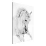 Tableau déco White Horse Bois manufacturé et toile - Noir / Blanc