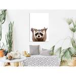 Wandbild Raccoon