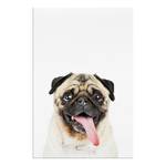 Pug Wandbild