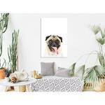 Tableau déco Pug Bois manufacturé et toile - Multicolore