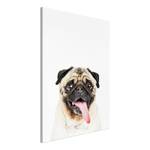 Pug Wandbild