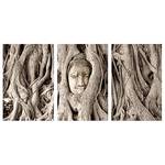 Quadro Meditations Tree Derivati dal legno e lino - Marrone - 60 x 30 cm