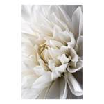 Quadro White Dahlia Materiali a base legno e lino - Bianco - 80 x 120 cm