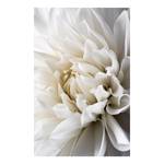 Quadro White Dahlia Materiali a base legno e lino - Bianco - 60 x 90 cm